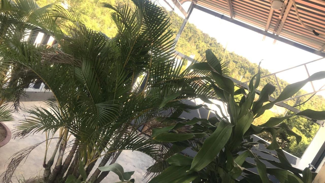 דואונג דונג Dao Ngoc Home מראה חיצוני תמונה